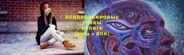 гашик Алексеевка