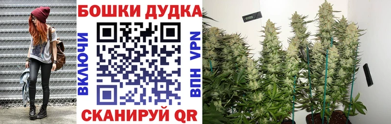 Бошки марихуана индика  МЕГА маркетплейс  Бабаево 